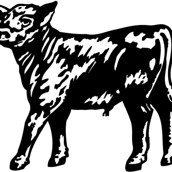 COW025 Thumbnail