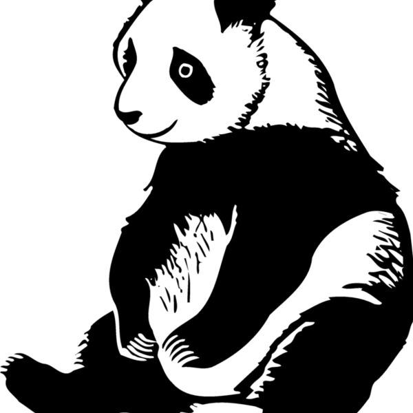 BEAR008 Thumbnail