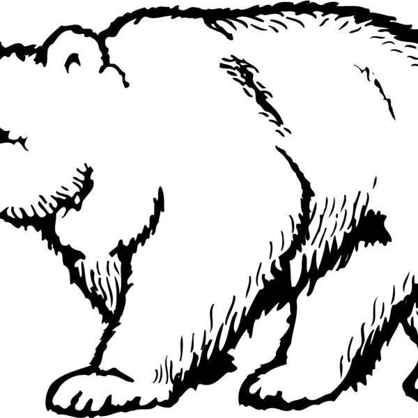 BEAR017 Thumbnail