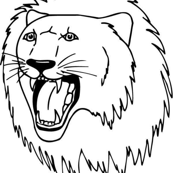 CAT11 Thumbnail
