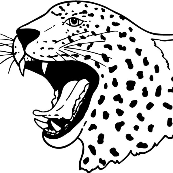 CAT13 Thumbnail