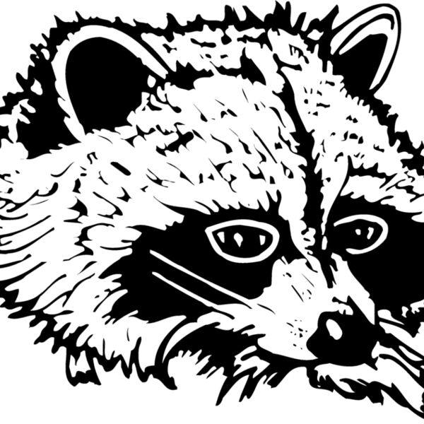 COON004 Thumbnail