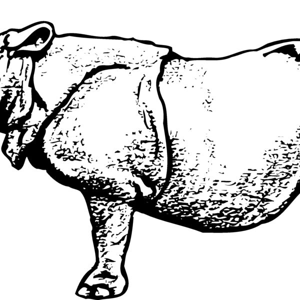RHINO003 Thumbnail
