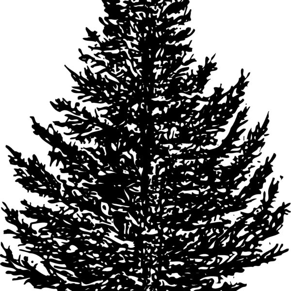 TREE0005 Thumbnail
