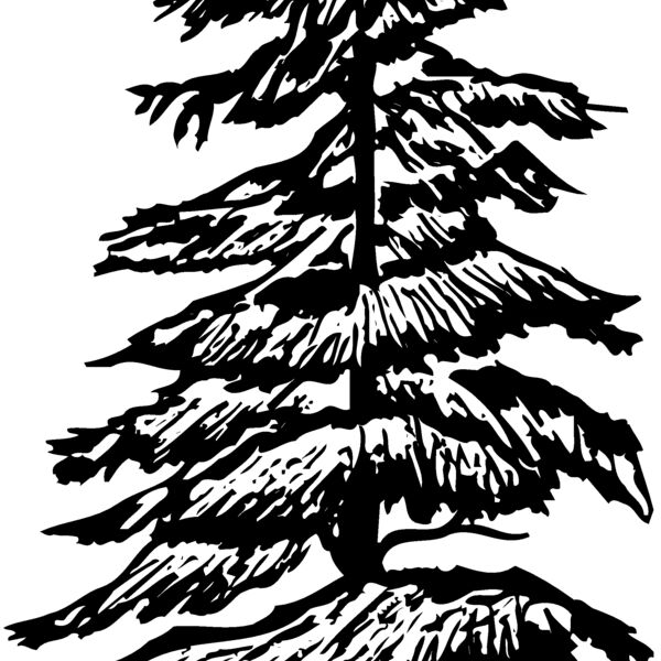 TREE0007 Thumbnail