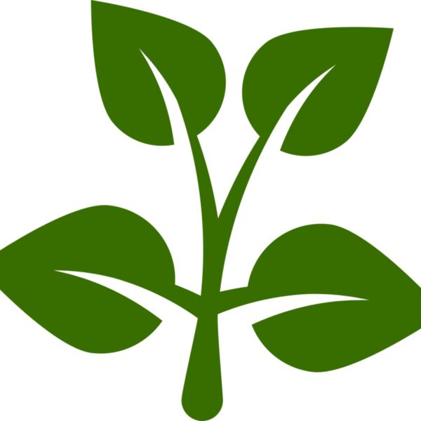 15 Leaves Thumbnail