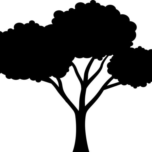 40 Tree Thumbnail