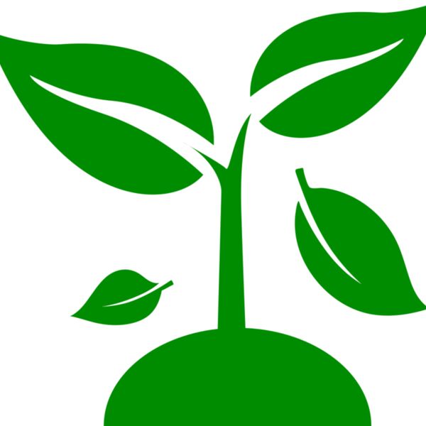 48 Plant Thumbnail