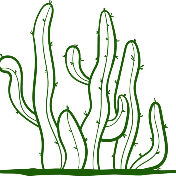 Cactus 2 Thumbnail