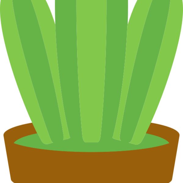 Cactus 1 Thumbnail