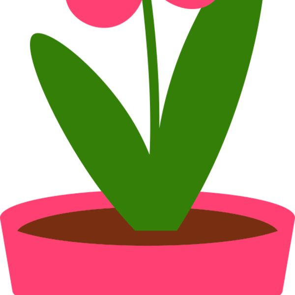 Plant 4 Thumbnail