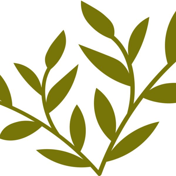 Leaves Thumbnail