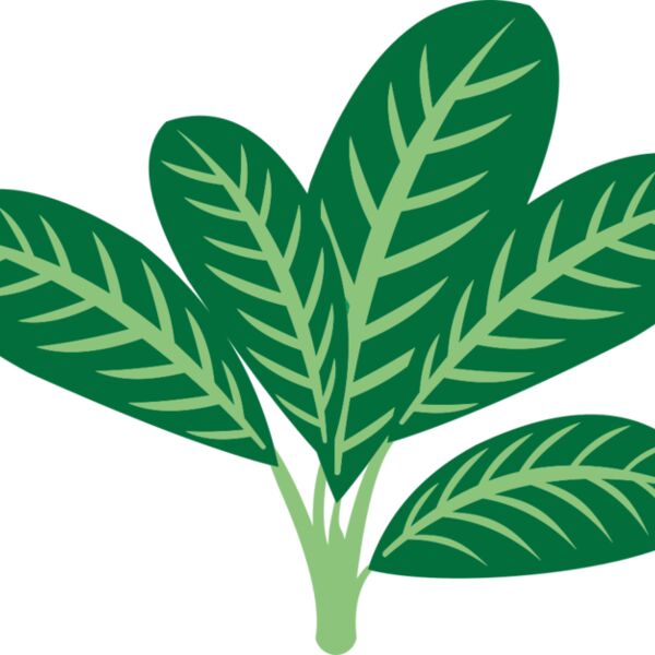 Plants 7 Thumbnail