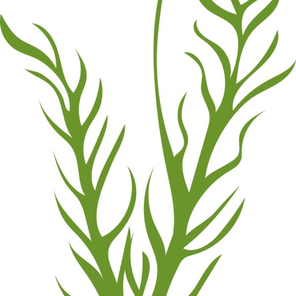 Leaves 8 Thumbnail
