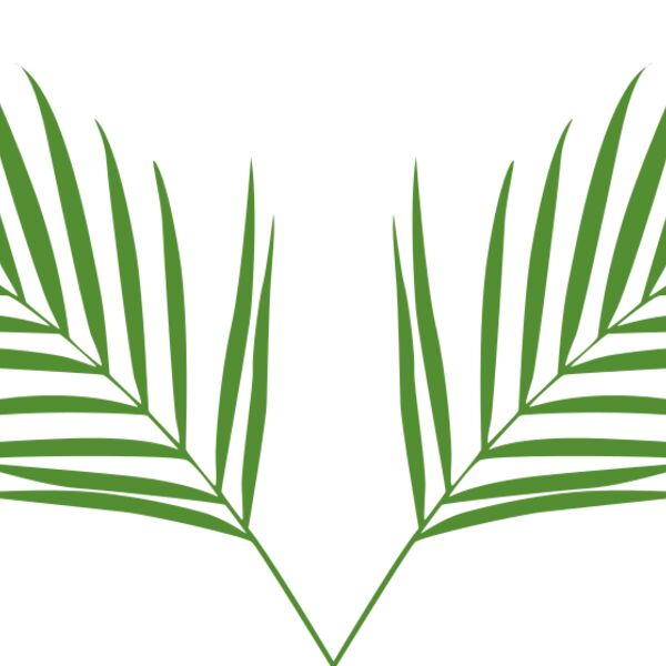 Leaves 2 Thumbnail
