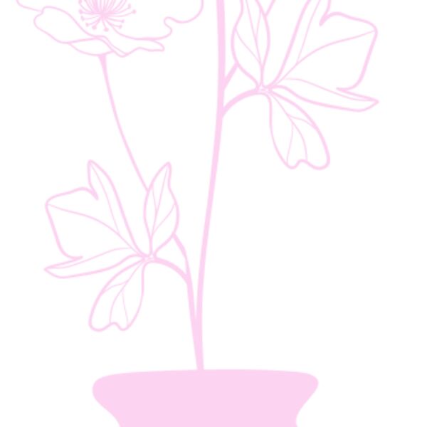 Flowers 7 Thumbnail