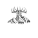 Daughters of the Wild
